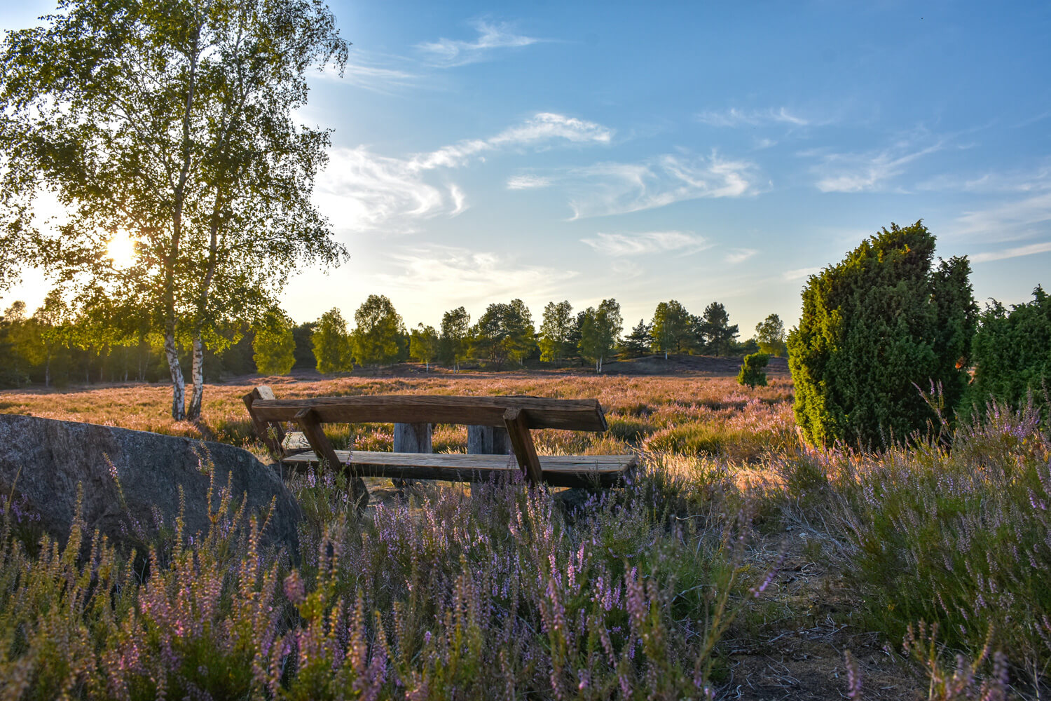 W&auml;rmepumpe in L&uuml;neburg